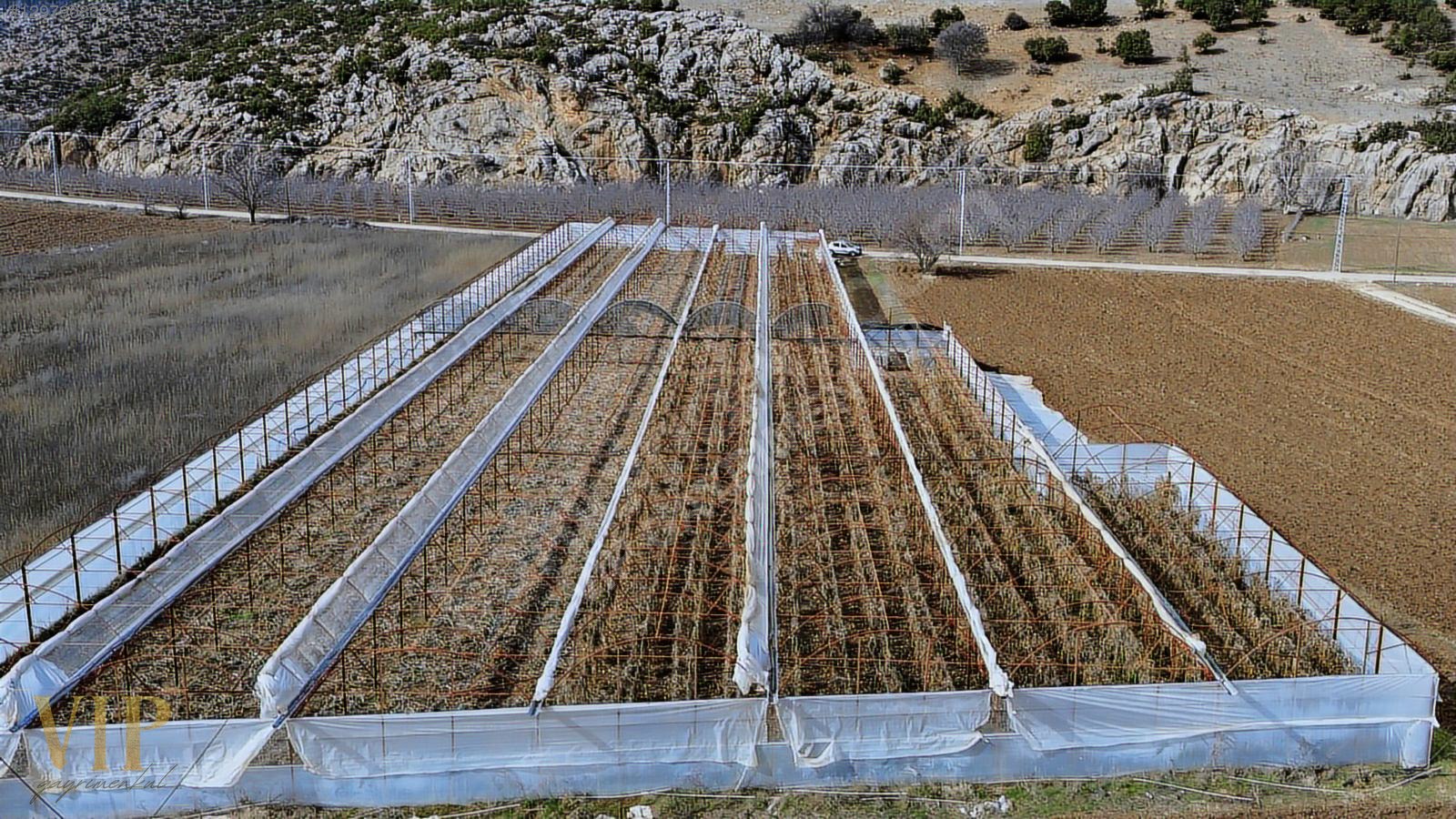 VİP GAYRİMENKUL'den IMIRCIK MAH. ANAYOL CEPHELİ 5.320m² SERA - ANTALYA ELMALI fotoğraf 11