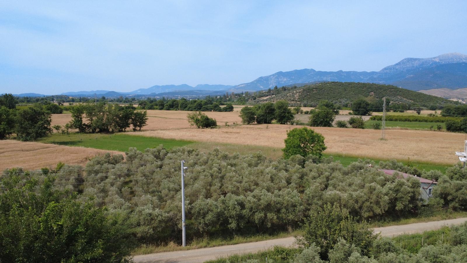 Zeytin ve meyve bahçesi 1+1 prefabrik daire - MUĞLA SEYDİKEMER fotoğraf 9