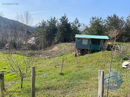 YENİ ŞEHİR OTOBANA 400 METRE HOBİ BAHÇESİ 1000M2 - BURSA YENİŞEHİR fotoğraf 6