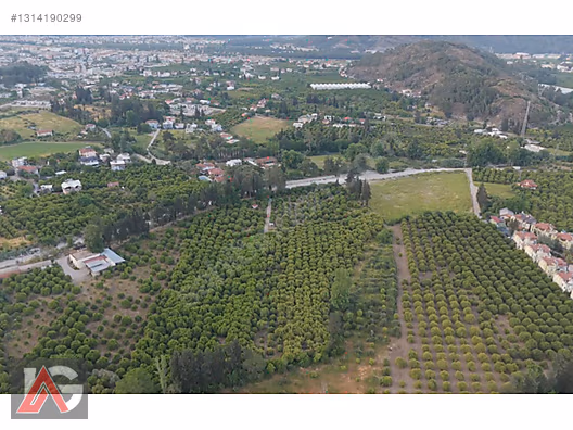 Kemer Kuzderede Yatırımlık & Verimli 15 Dönüm Narenciye Bahçesi - ANTALYA KEMER fotoğraf 7