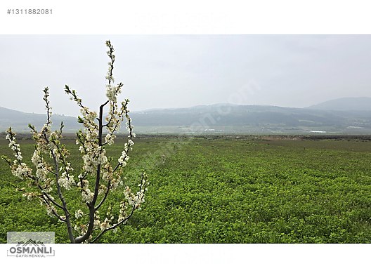YEŞİLÇİMEN'DE SUYU YOLU OLAN ÇİFTLİK ARAZİSİ - BİLECİK OSMANELİ fotoğraf 4