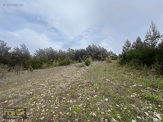 Bodrum Has Yapı Gayrimenkul den satılık - MUĞLA MİLAS fotoğraf 3