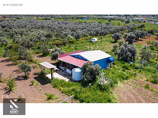Kemalpaşa Halilbeylide Satılık 3000 m2 Bahçe 40 m2 Ev - İZMİR KEMALPAŞA fotoğraf 19