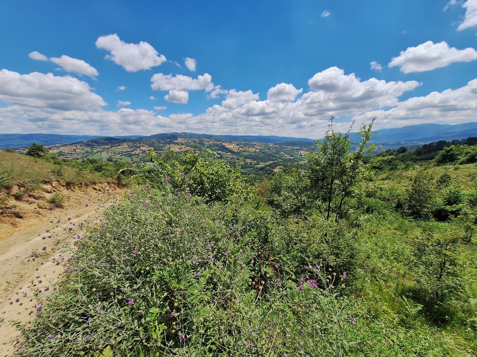  BURSA  İNEGÖL GÜNDÜZLÜ   KÖYÜNDE  9.400  M²  TARLA  SATILIKTIR - BURSA İNEGÖL fotoğraf 12