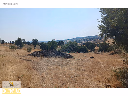 KÖY YERLEŞİMİN DİBİNDE TEKTAPU EV İÇİN TEMEL ATILMIŞ 5.735m2ARSA - MANİSA SELENDİ fotoğraf 8