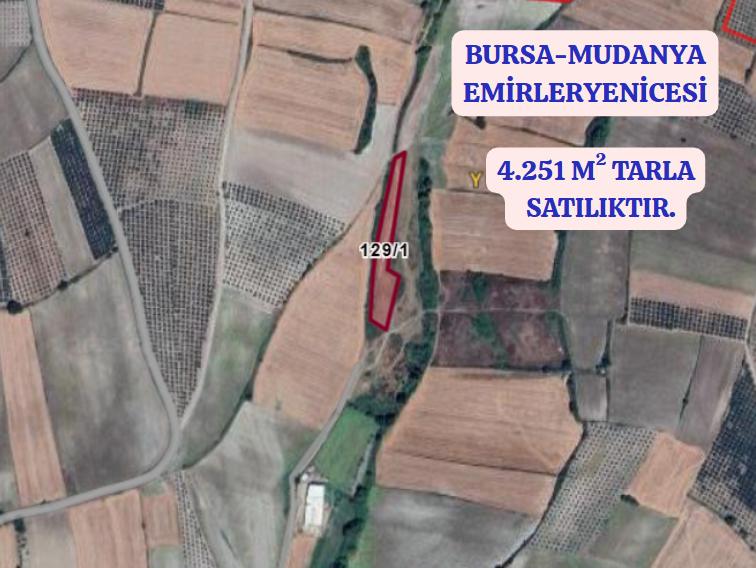 BURSA MUDANYA EMİRLERYENİCESİ KÖYÜNDE 4.251 M TARLA SATILIKTIR - BURSA MUDANYA fotoğraf 2