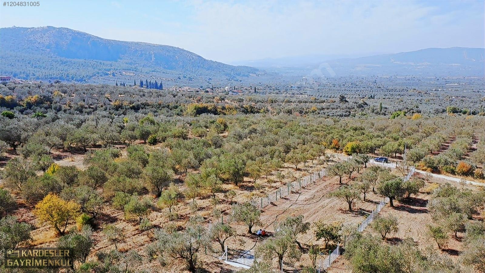 AKHİSAR YENİCEKÖYDE KARIŞIK ZEYTİN MEYVE BAHÇESİ SU ELEKTRİKLİ - MANİSA AKHİSAR fotoğraf 25