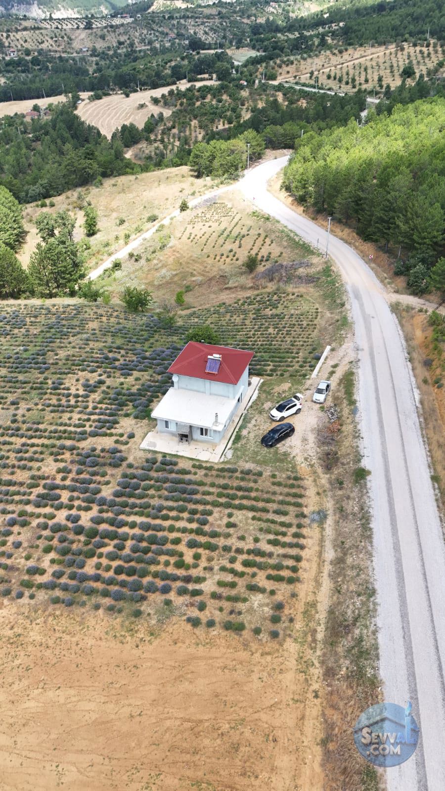 Kütahya'da 14.035m² İçerisinde Lavanta Bahçesi-Yağ Sıkma Fab.-Evi Satılıktır - KÜTAHYA ŞAPHANE fotoğraf 19