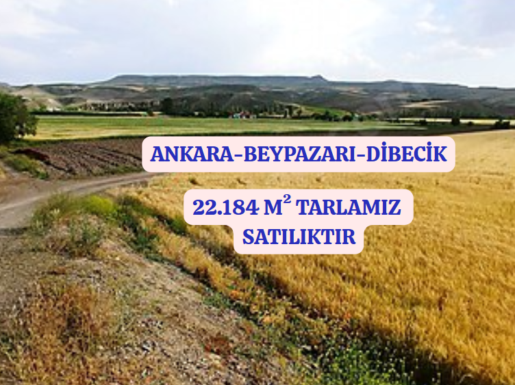 İlan Resmi