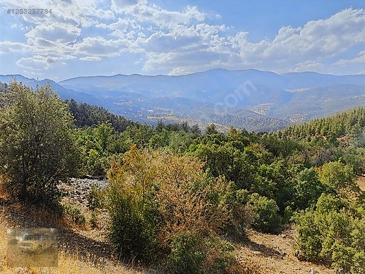 konyaaltı Doyranda 629m tapulu arsa - ANTALYA KONYAALTI fotoğraf 5