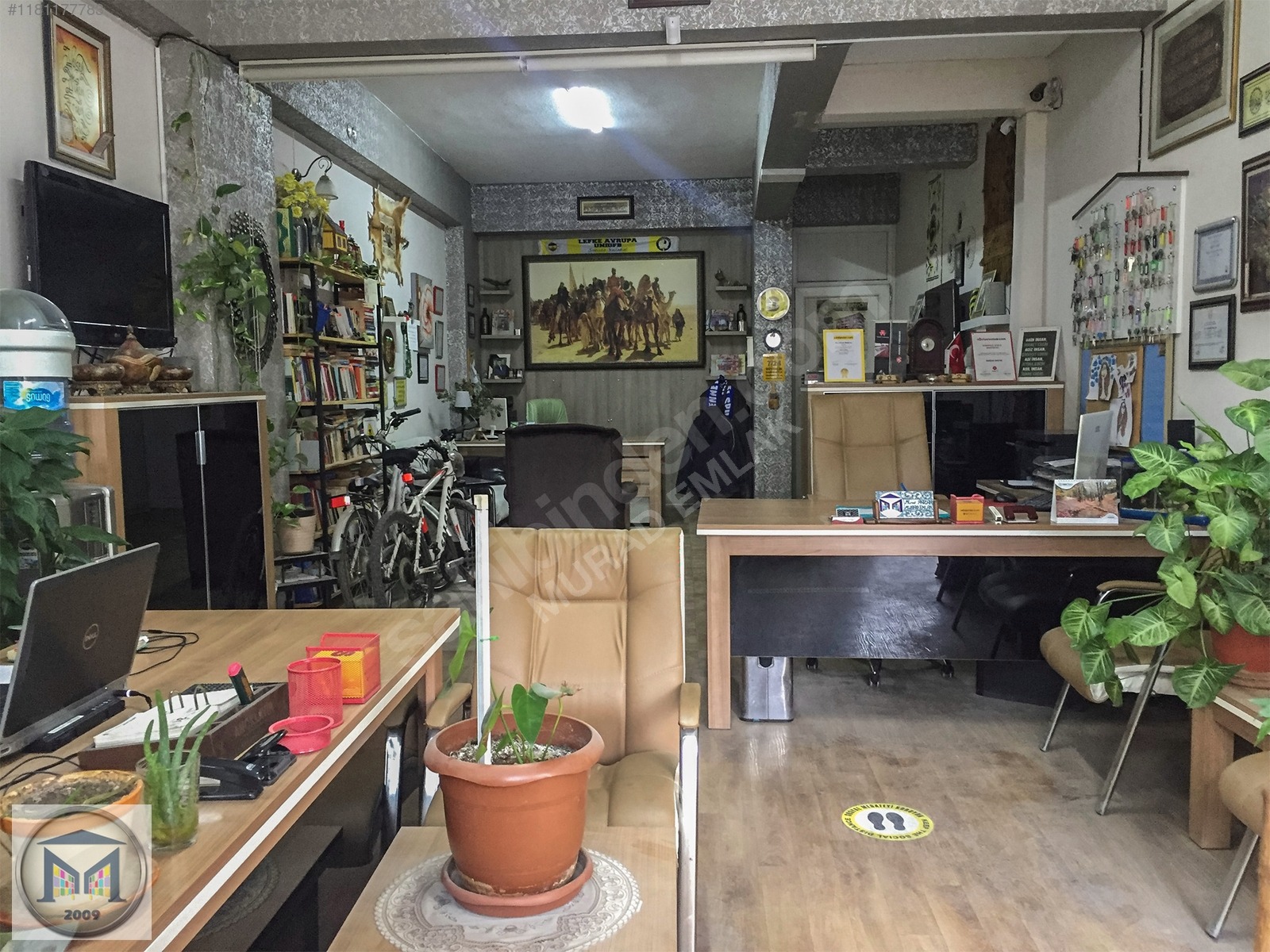 PELİTKÖY SAHİLDE İMARA 650 METRE SATILIK 6.500M2 ZEYTİNLİK - BALIKESİR BURHANİYE fotoğraf 29