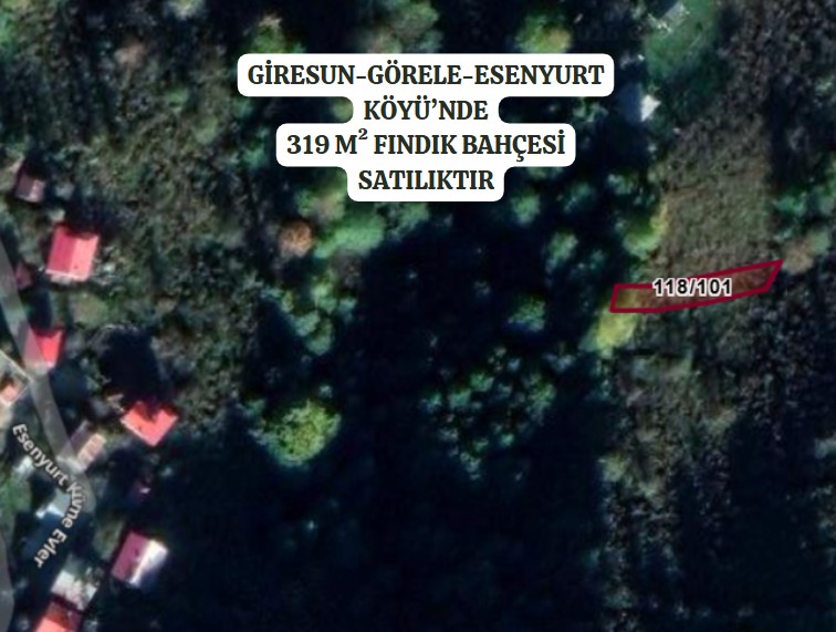 GİRESUN GÖRELE ESENYURT KÖYÜNDE 319 M² FINDIK BAHÇESİ SATILI - GİRESUN GÖRELE fotoğraf 2