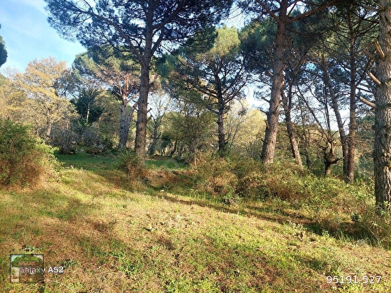 BERGAMA KOZAK YAYLASI YUKARIBEY MAH DE 2700 M2 FISTIKLIK - İZMİR BERGAMA fotoğraf 2