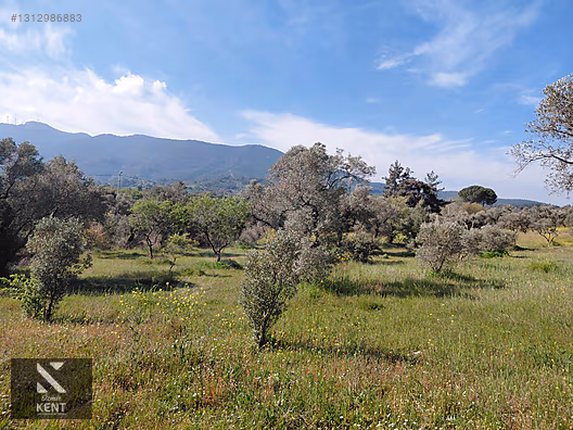 Kemalpaşa Dereköy'de Satılık 4850 m2 Bahçe - İZMİR KEMALPAŞA fotoğraf 33