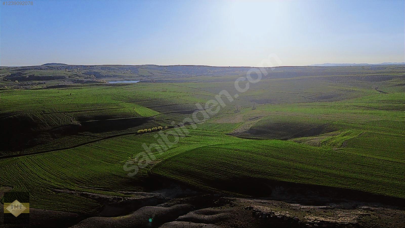 Huzur Yatırımdan Fırsat Yozgat Merkez Divanlıda Satılık Tarla - YALOVA MERKEZ fotoğraf 2