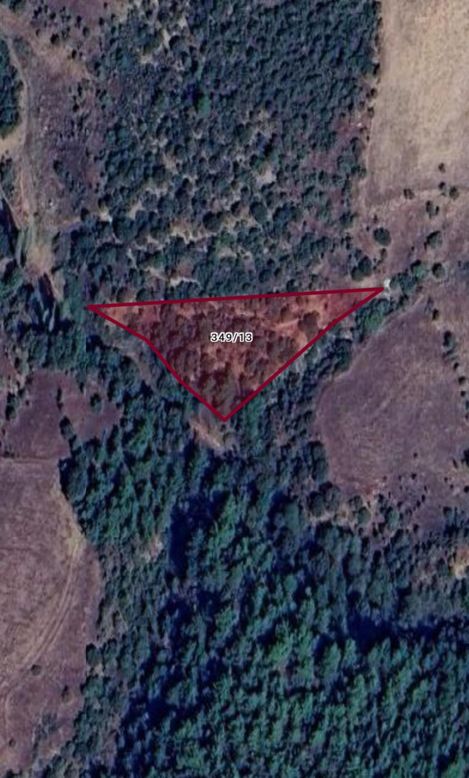  UŞAK MERKEZ İLYASLI KÖYÜ 2.538M² TARLAMIZ SATILIK - UŞAK MERKEZ fotoğraf 4