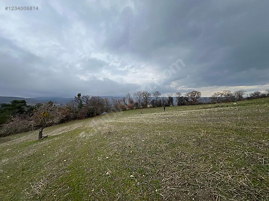 BALIKESİR İVRİNDİ BOZÖREN KÖYÜNDE 2.600 M² TARLA  SATILIKTIR - BALIKESİR İVRİNDİ fotoğraf 3