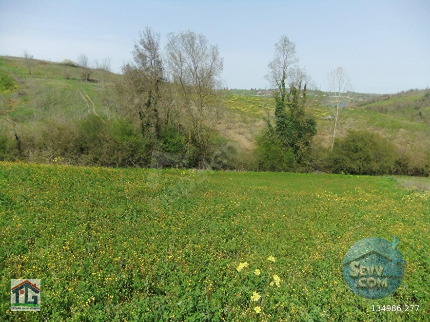 KOCAELİ/KANDIRA/AHMETHACILAR KÖYÜNDE SATILIK 2 PARSEL TARLA. - KOCAELİ KANDIRA fotoğraf 12