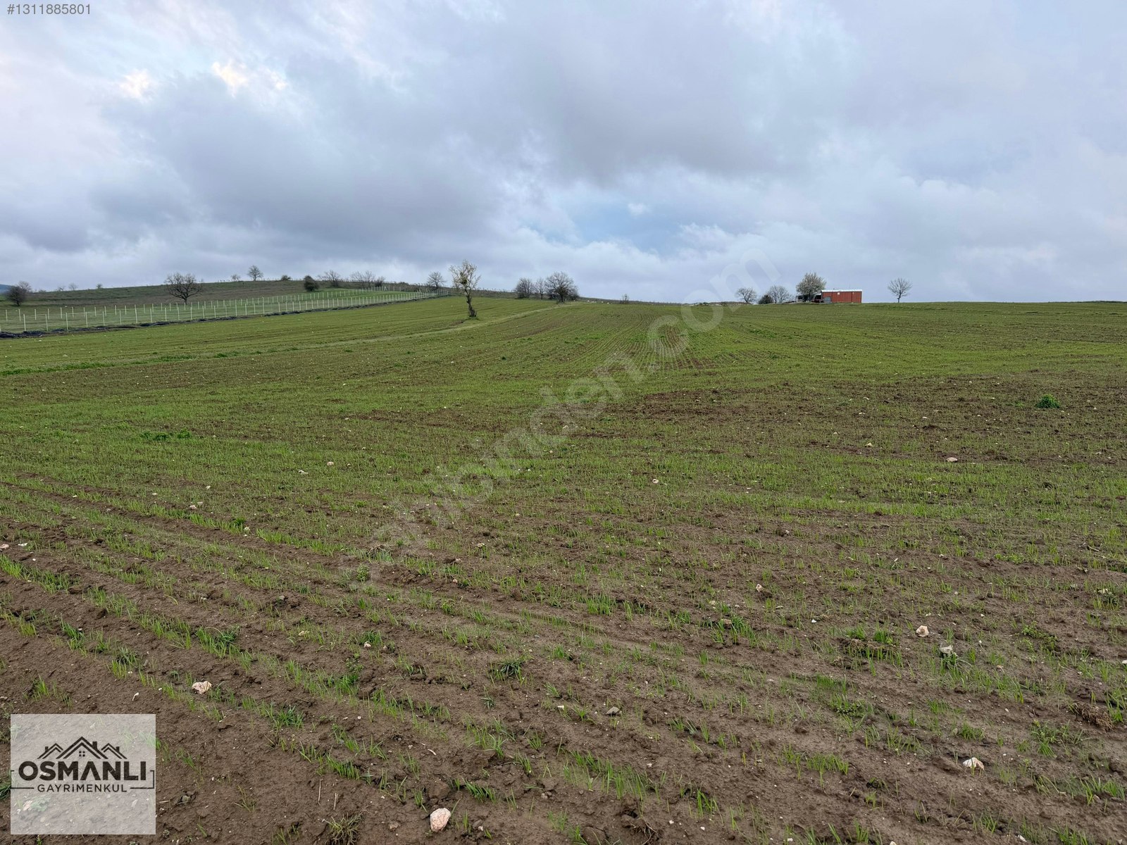 ELEKTRİĞİ VE YOLU ÖNÜNDE,ARKASI ORMAN,16 DÖNÜM %5 İMARLI ARAZİ - BİLECİK SÖĞÜT fotoğraf 13