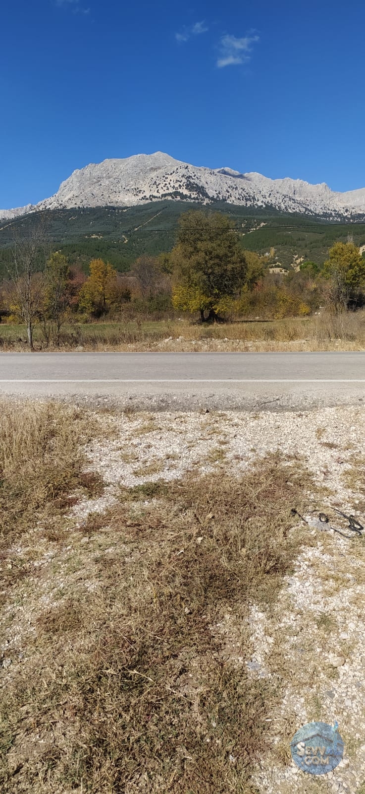 AĞLASUN YAZIR KÖYÜNDE ASFALT CEPHE FIRSAT ARAZİ - Burdur Ağlasun fotoğraf 4