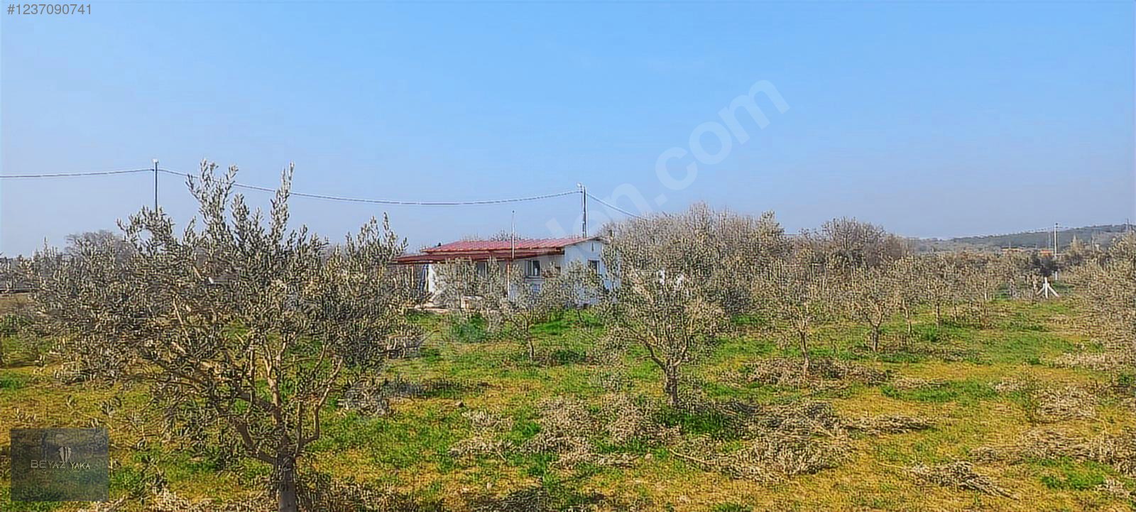 BEYAZYAKA'DAN AHMETBEYLER MAH. SATILIK TARLA - İZMİR BERGAMA fotoğraf 5
