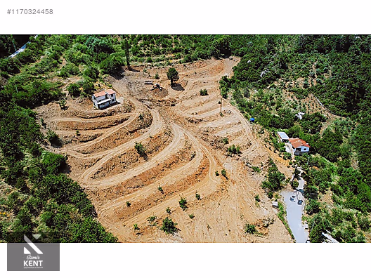 Kemalpaşa Atatürk Kozludere Satılık 6.543 m2 Arazi - İZMİR KEMALPAŞA fotoğraf 2