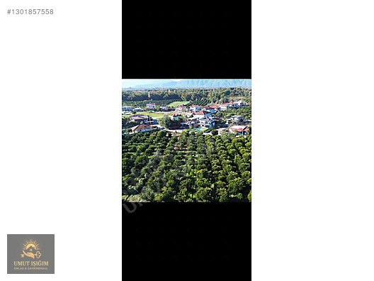TOPARLARDA , YERLEŞİM ALANINDA SATILIK - MUĞLA KÖYCEĞİZ fotoğraf 13