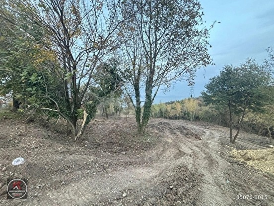 KARAMÜRSEL DEREKÖY’DE 19.309 M² KONUT ALANLI, TARIMSAL KULLANIMA UYGUN YATIRIM A - KOCAELİ KARAMÜRSEL fotoğraf 6
