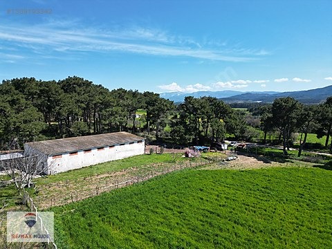 Çanakkale Bayramiç Kutluoba Satılık Tarla - ÇANAKKALE BAYRAMİÇ fotoğraf 31