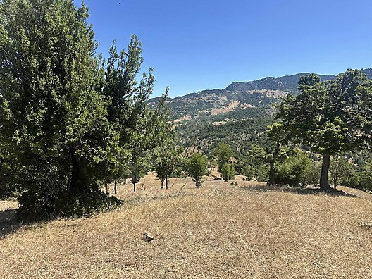 ANTALYA KONYAALTI ÜÇOLUK MAHALLESİNDE 351 M² SATILIK ARSA  - ANTALYA KONYAALTI fotoğraf 3