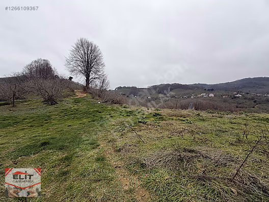 DÜZCE AKÇAKOCA DA EV YAPIMINA UYGUN SATILIK 7.768 M2 FINDIKLIK - DÜZCE AKÇAKOCA fotoğraf 6
