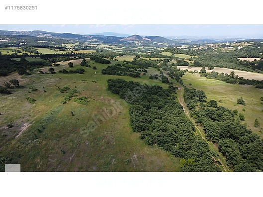 ÇANAKKALE BAYRAMİÇ MURATLAR KÖYÜ 45.000 m2 TARLA - ÇANAKKALE BAYRAMİÇ fotoğraf 13