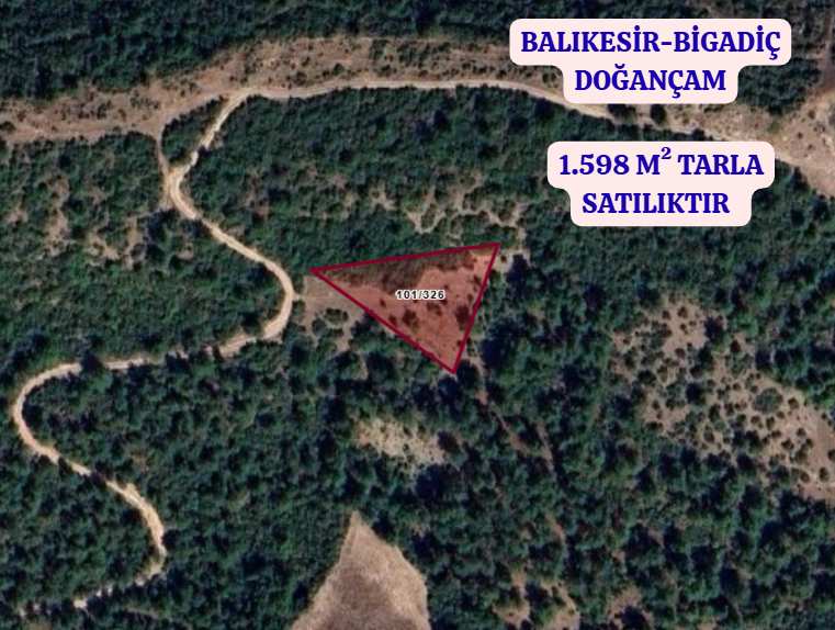 BALIKESİR BİGADİÇ DOĞANÇAM  KÖYÜNDE 1.598  M²  TARLA  SATILIKTIR - BALIKESİR BİGADİÇ fotoğraf 2