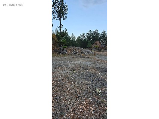 BURSA KELES KIRANIŞIKLAR KÖYÜNDE  658  M² BAĞ SATILIKTIR - BURSA KELES fotoğraf 6