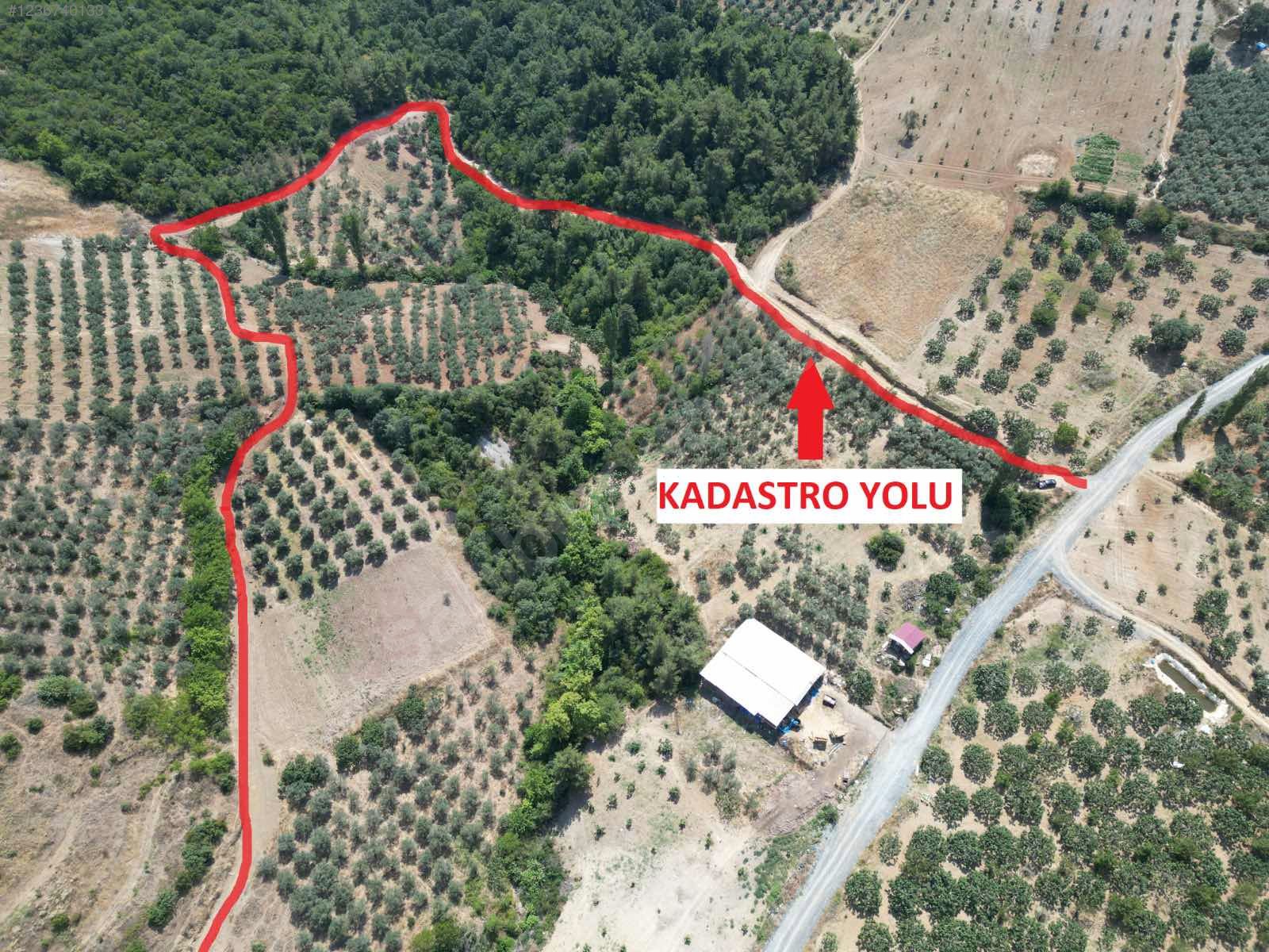 BURSA MUDANYA İPEKYAYLA KÖYÜNDE 2.144 M²  MEYVELİK SATILIKTIR - BURSA MUDANYA fotoğraf 17
