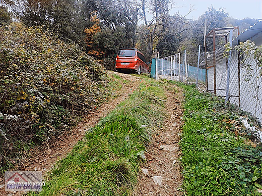 FATİH EMLAKTAN ŞAHİNYURDUNDA 956M2 SATILIK ZEYTİNLİK - BURSA GEMLİK fotoğraf 5