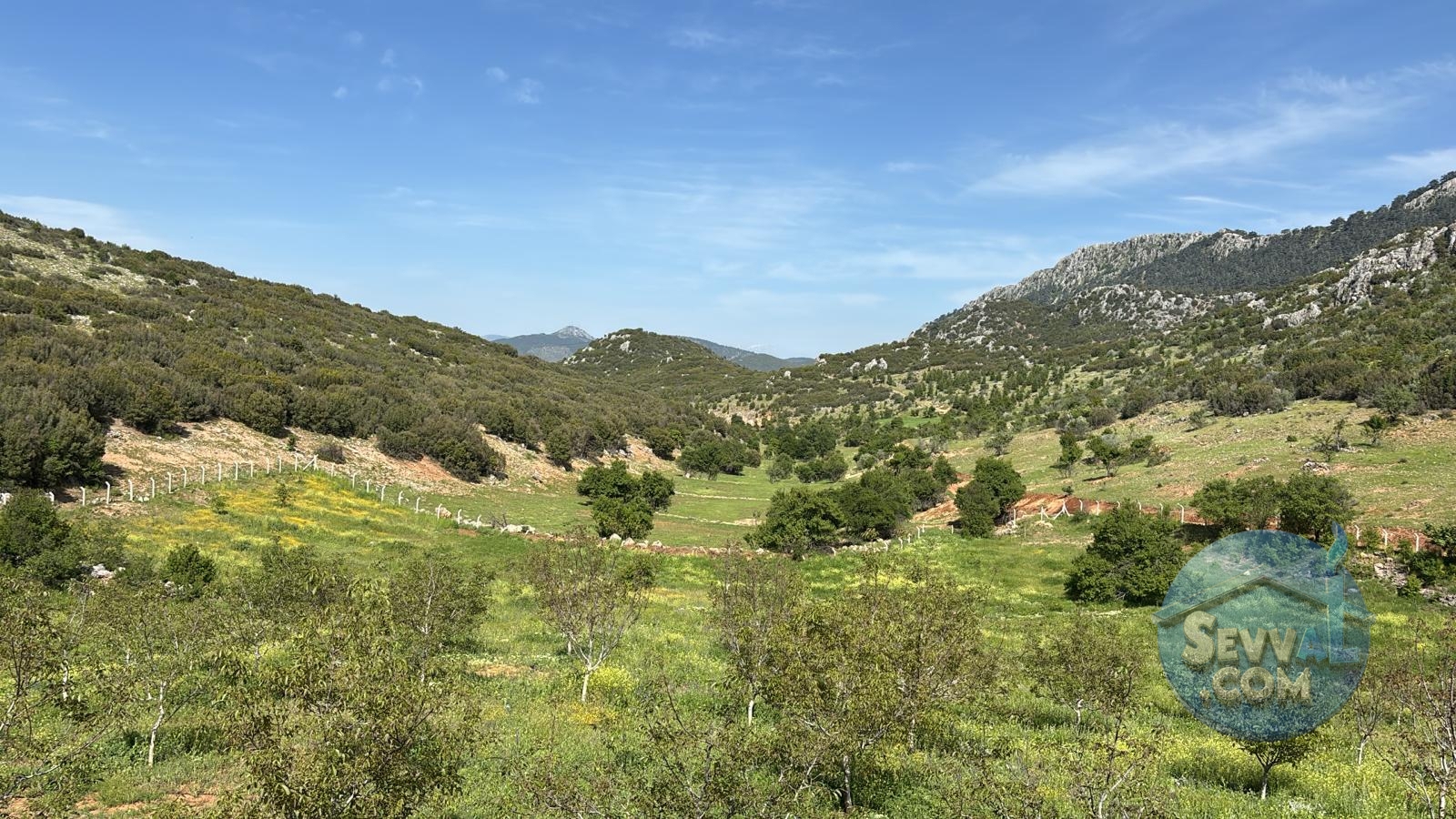 AĞLASUN ÇANAKLI KÖYÜNDE SATILIK CEVİZLİK - Burdur Ağlasun fotoğraf 3