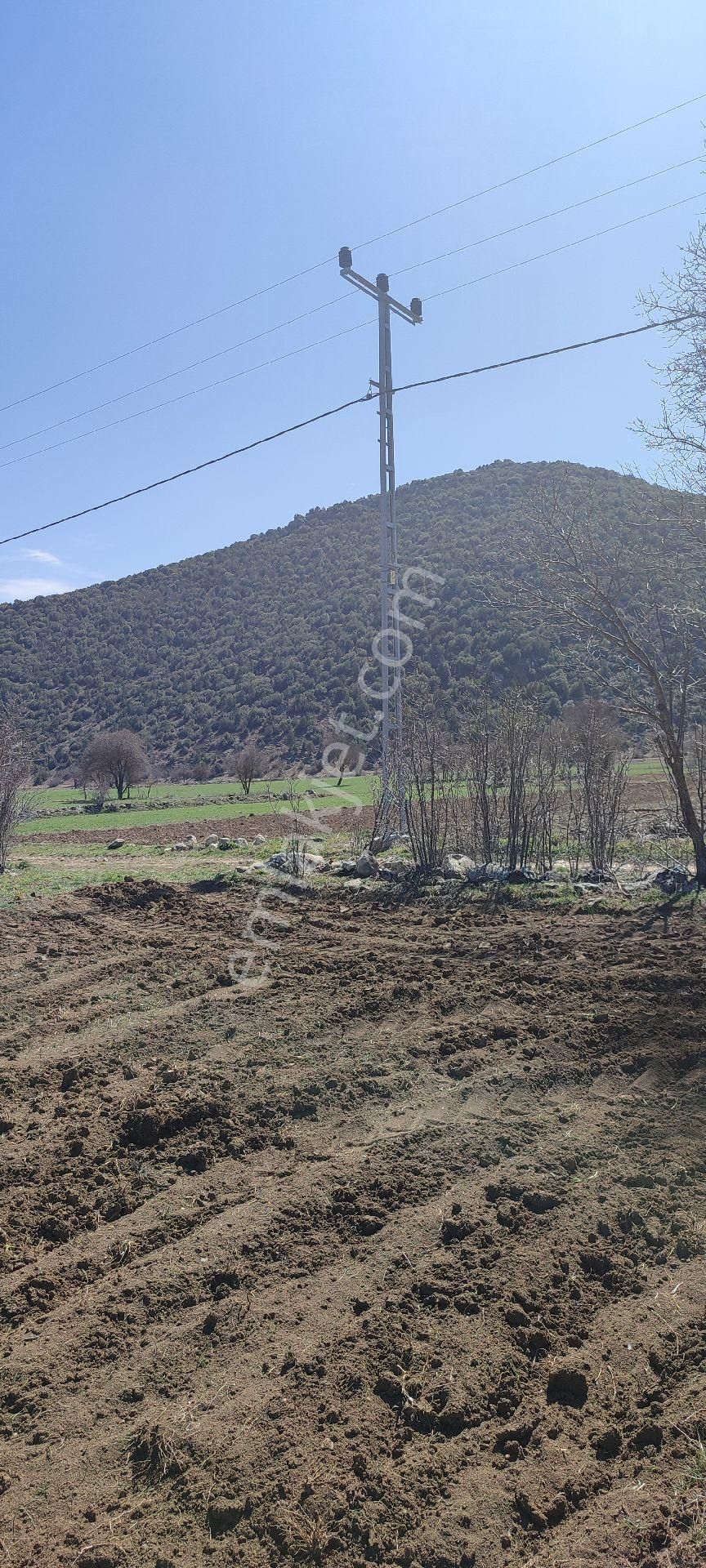 Burdur Ağlasun Hisarköy Muhteşem Konumda Elektrik Yol Su Sorunu Olmayan Satılık  - BURDUR AĞLASUN fotoğraf 9