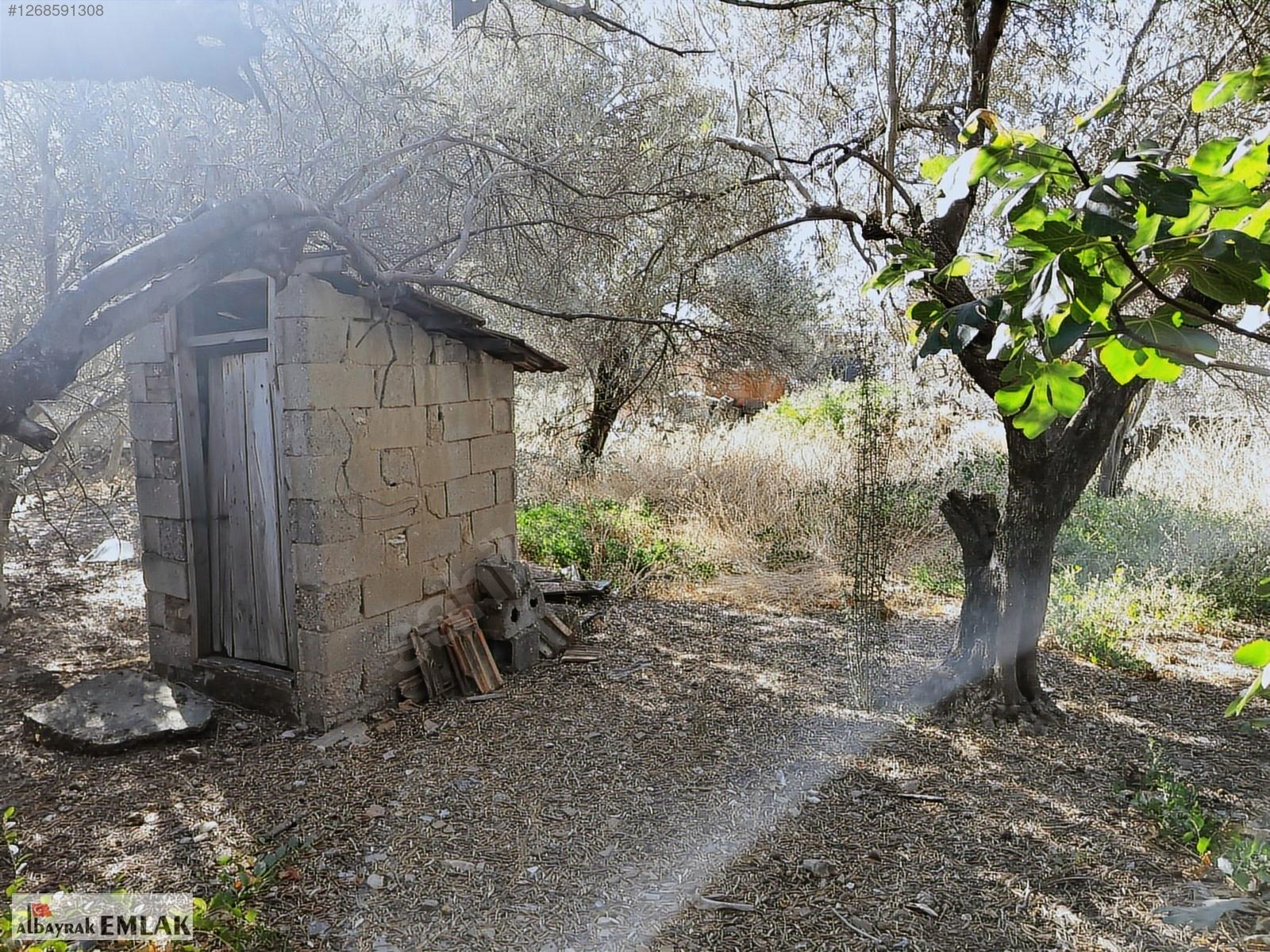 AKHİSAR RAHMİYE DE SATILIK 470 M2 ARSALI ESKİ KÖY EVİ 1.275.000 - MANİSA AKHİSAR fotoğraf 7