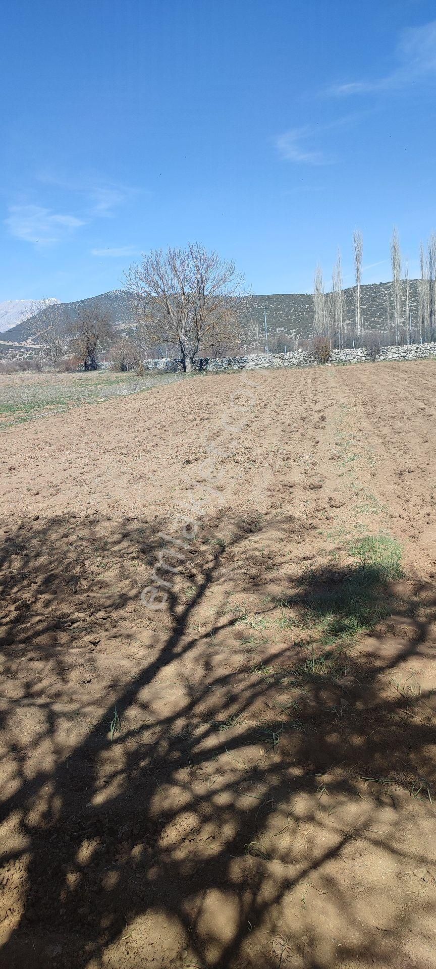 Burdur Ağlasun Hisarköy Muhteşem Konumda Elektrik Yol Su Sorunu Olmayan Satılık  - BURDUR AĞLASUN fotoğraf 3