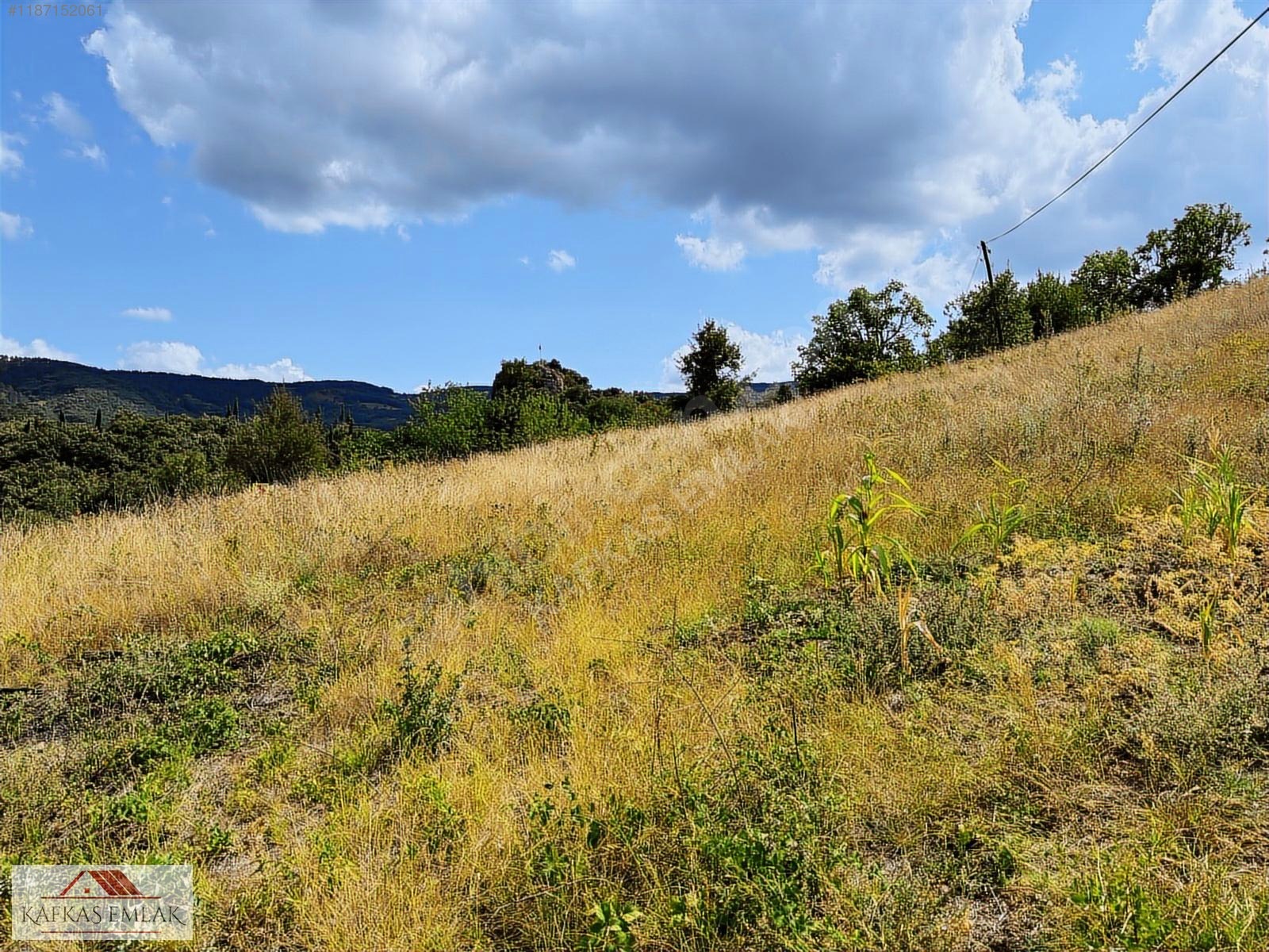 ALPAĞUT MAHALLESİ 5.125 M² KÖY ASFALTINA CEPHE SATILIK TARLA - BURSA MUSTAFAKEMALPAŞA fotoğraf 8