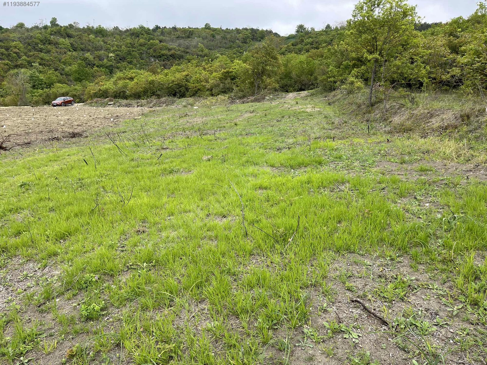YALOVA ALTINOVA GEYİKDERE KÖYÜ’NDE 13.708 M²  TARLA SATILIKTIR - YALOVA ALTINOVA fotoğraf 6
