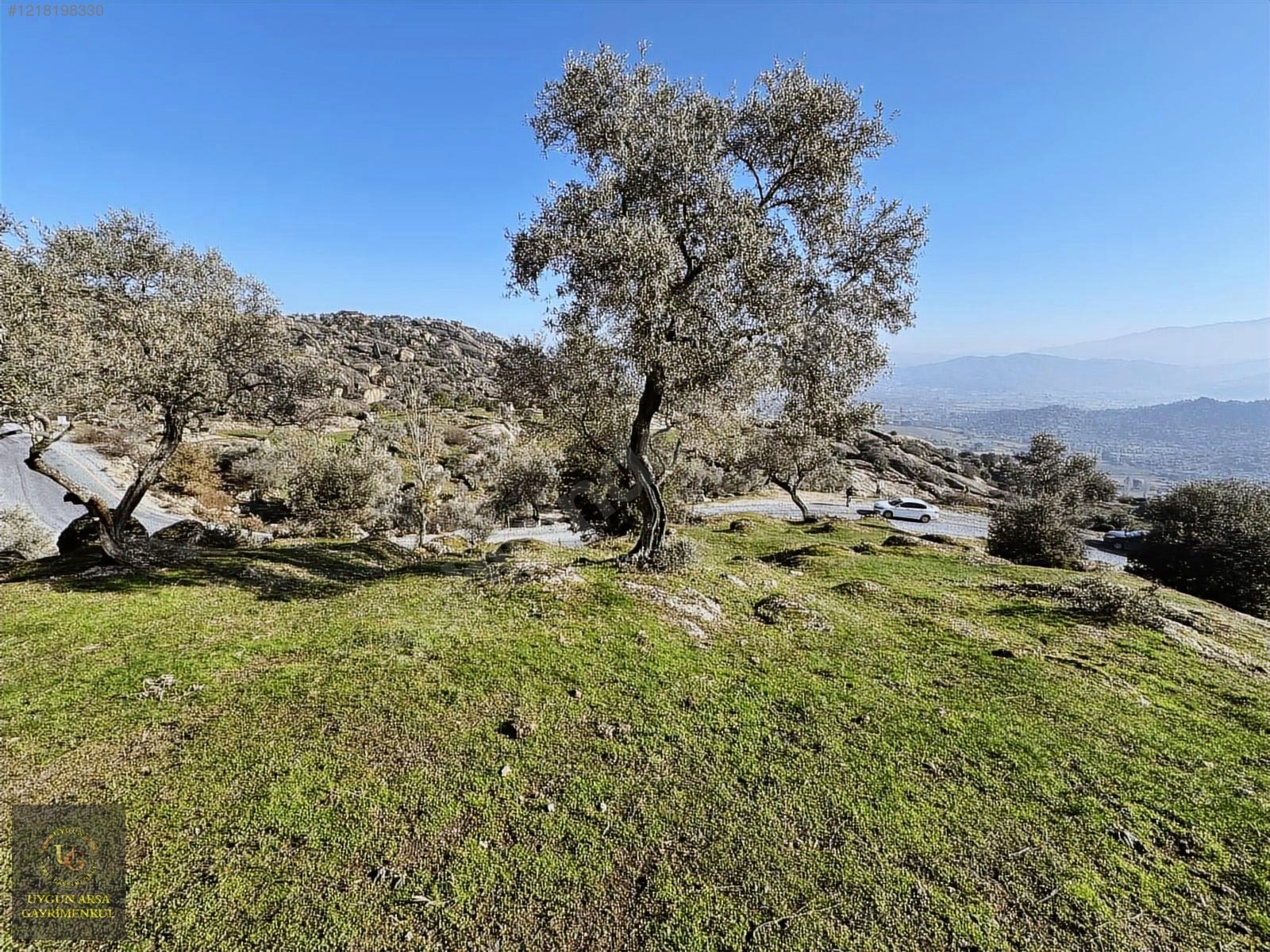 AYDIN KARPUZLU MERKEZ'DE 21.050 M2 ANA YOLA CEPHE ZEYTİNLİK - AYDIN KARPUZLU fotoğraf 16