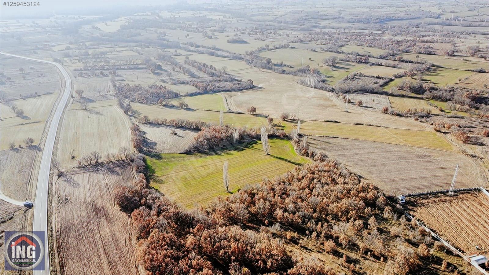 KIRKLARELİ ÜSKÜPTE ORGANİZEYE ASFALTA YAKIN BÜYÜK ARAZİ - KIRKLARELİ MERKEZ fotoğraf 2