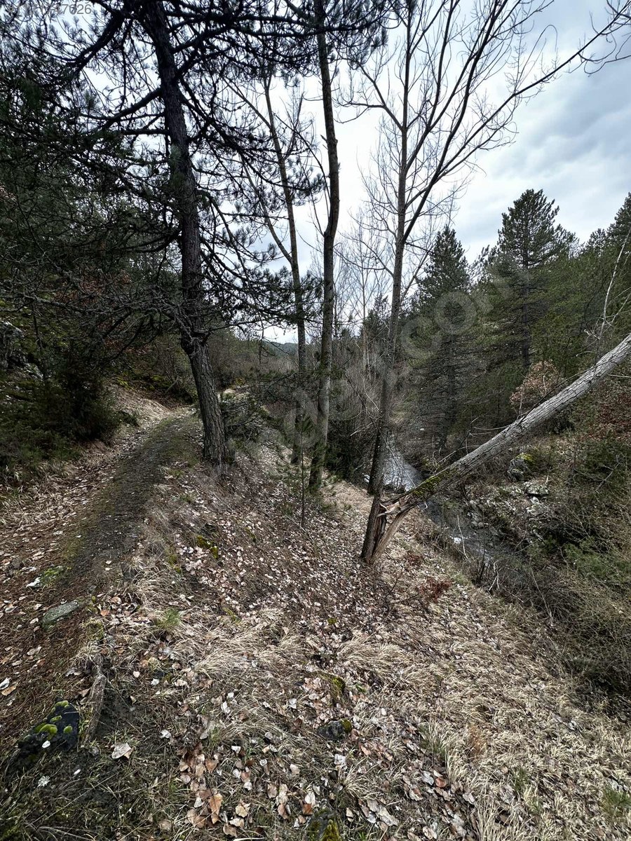 BURSA KELES KİRAZLI KÖYÜNDE 1.305  M² BAHÇE SATILIKTIR - BURSA KELES fotoğraf 11