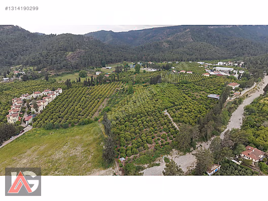 Kemer Kuzderede Yatırımlık & Verimli 15 Dönüm Narenciye Bahçesi - ANTALYA KEMER fotoğraf 20