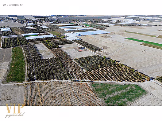 VİP GAYRİMENKUL'den BAYRALAR MAH. 29.648 m² ELMA-ARMUT BAHÇESİ - ANTALYA ELMALI fotoğraf 22