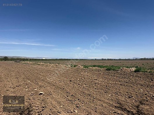 AKÇADAĞ BAHRİ İKİ AYRI TAPULU SATILIK SULU TARLA - MALATYA AKÇADAĞ fotoğraf 2