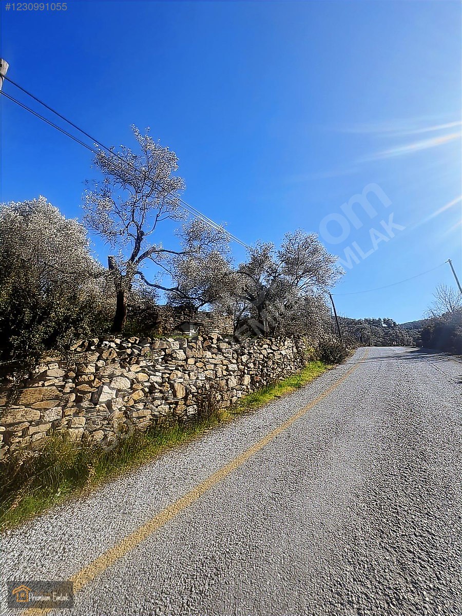 MİLAS KARACAHİSARDA KÖY İÇİ KAĞİR EV VE 980 M2 ARSASI - MUĞLA MİLAS fotoğraf 9