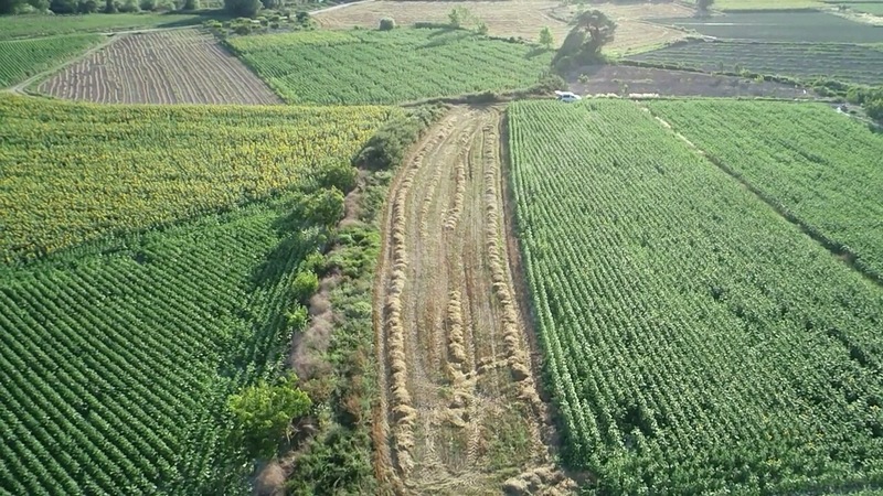BURSA KARACABEY ÇAMLICA'DA  1.575 M²  TARLA  SATILIKTIR. - BURSA KARACABEY fotoğraf 4
